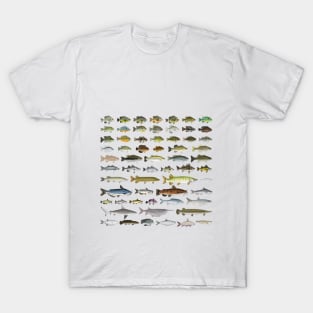 North America Freshwater Fish Group T-Shirt